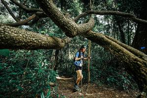 BIB: 
                            <button type="button" onclick="openModal(25705813)" class="btn btn-primary btn-sm float-right btn-popup" data-toggle="modal" data-target=".modal-high-quality">
                        <i class="fas fa-shopping-cart"></i> Add to Cart
                    </button>
                                            <button type="button" onclick="isThisMe(25705813, true)" class="btn btn-success btn-sm float-right btn-popup btn-isme hidden" data-toggle="tooltip" data-placement="bottom" title="นี่คือรูปของคุณใช่ไหม คลิกที่นี่เพื่อเอาเข้าอัลบั้ม">
                        <i class="fas fa-plus"></i> Add to album
                    </button>
                    <button type="button" onclick="isThisMe(25705813, false)" class="btn btn-warning btn-sm float-right btn-popup btn-isnotme hidden">
                        <i class="fas fa-ban"></i> Remove from album
                    </button>